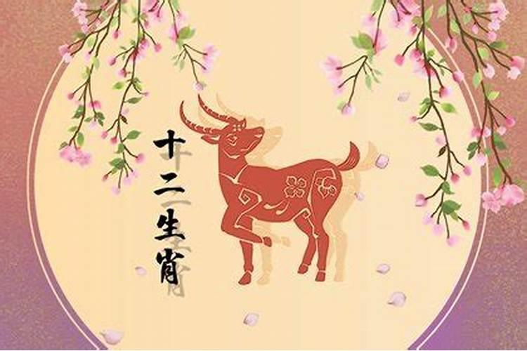 属马2月份运势如何