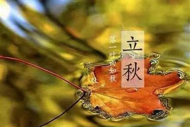 立秋后的一个节气是什么