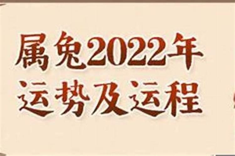 兔今年的运势如何2023