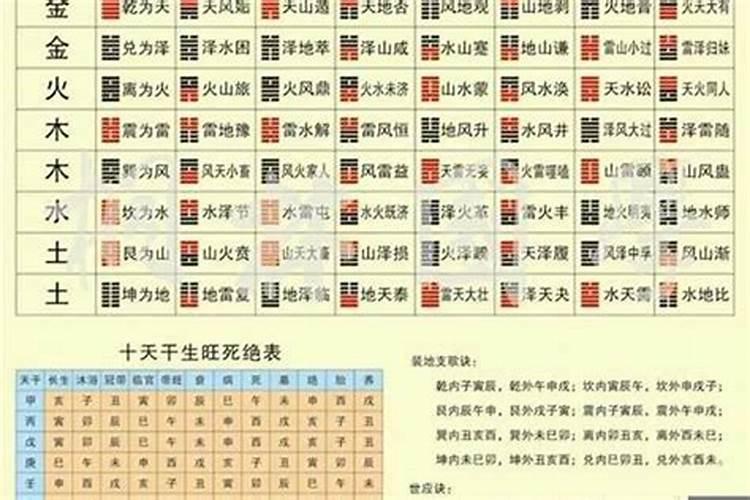 属猪属兔八字合不合