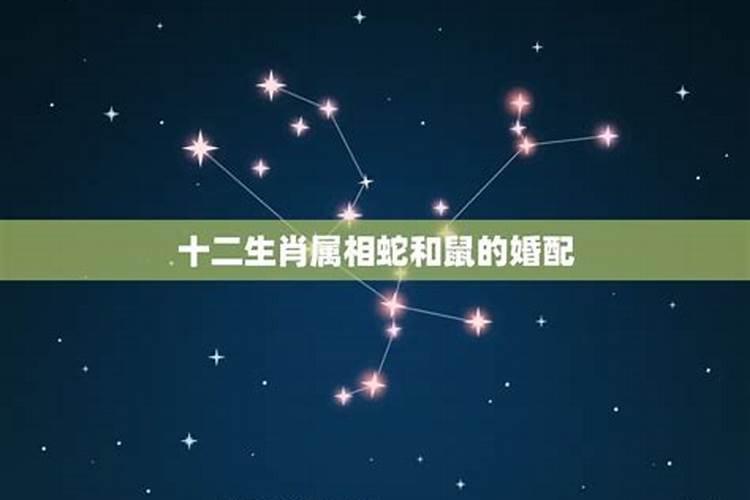 苏珊米勒每日运势2022年,4月8日