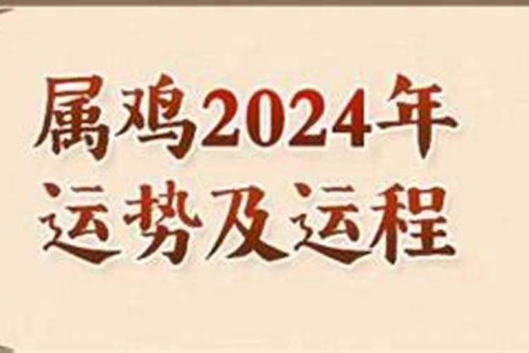 鸡2024年运势完整版