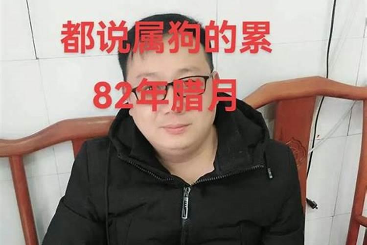 腊月属狗的男孩什么命