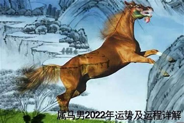 属马属虎人2023年运势及运程