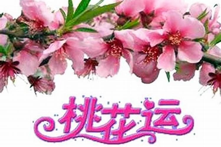 桃花影响财运