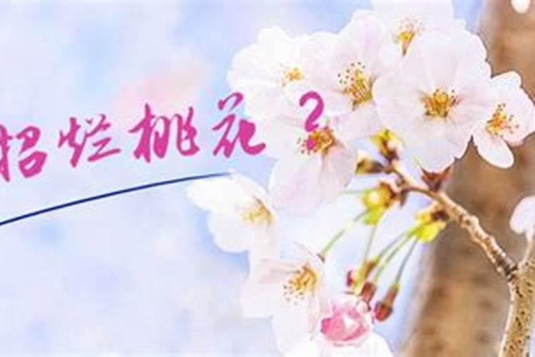 如何躲避桃花运