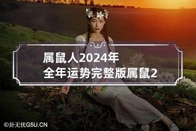 2024年属鼠人的全年运势女性