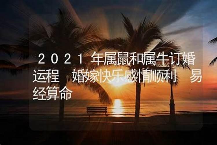 2021年属鼠和属牛