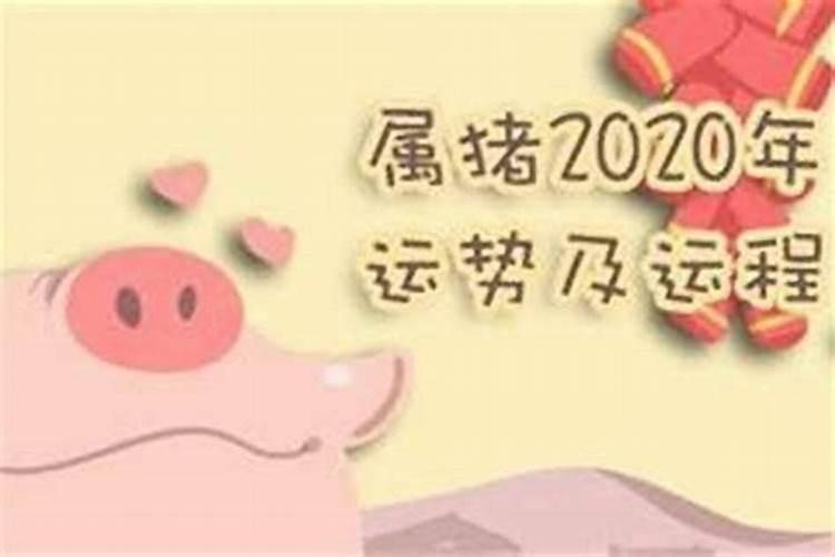 属猪之人2023运势如何