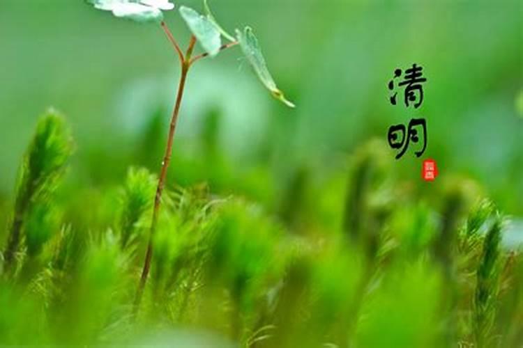 清明节扫墓的时间范围