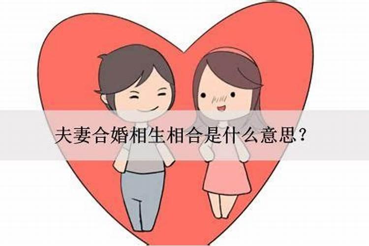 算卦的说合婚是什么意思