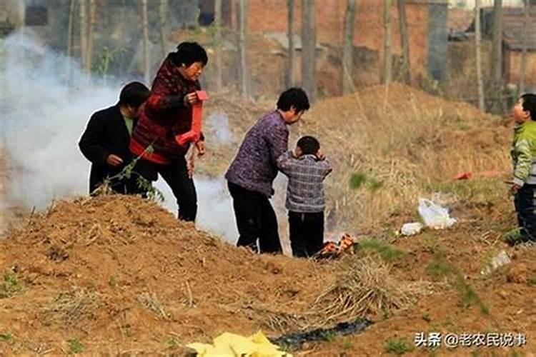 猪年犯太岁有哪几个