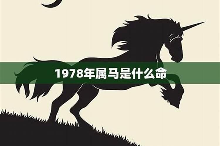 1978属马6月份运势如何