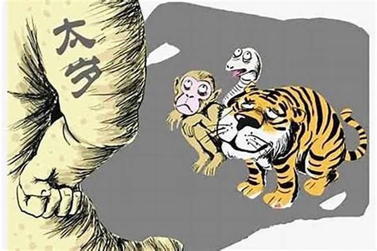 梦见房子里好多猫是什么意思