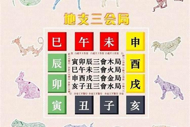 八字地支三合三会