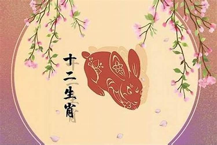 八一鸡年今年运势如何