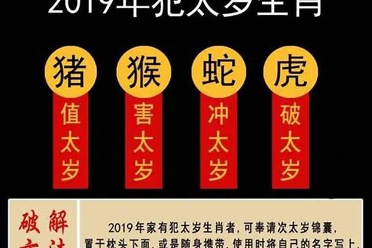 属龙人2025年全年运势详解