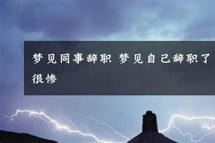 梦到已经离职的领导来我家