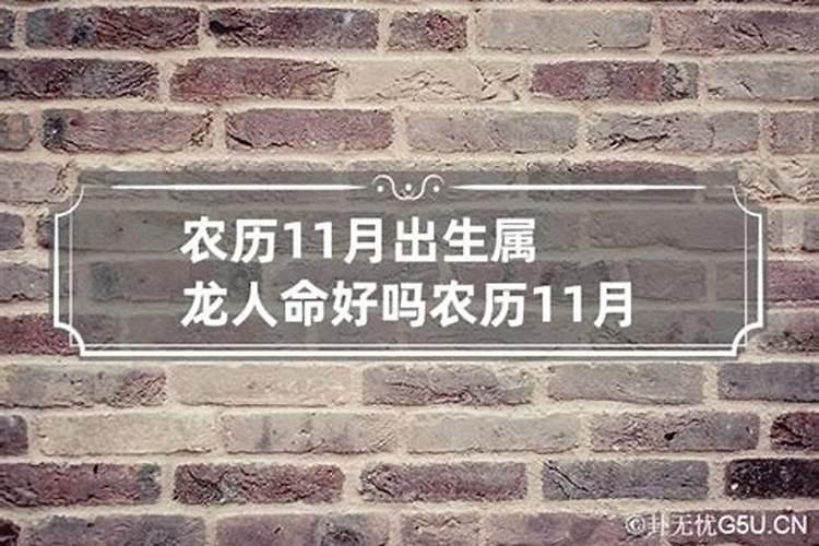 属龙农历11月份出生的命运