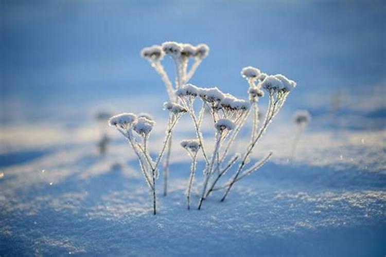 立冬小雪冬至大寒作者一连串时间有什么用意