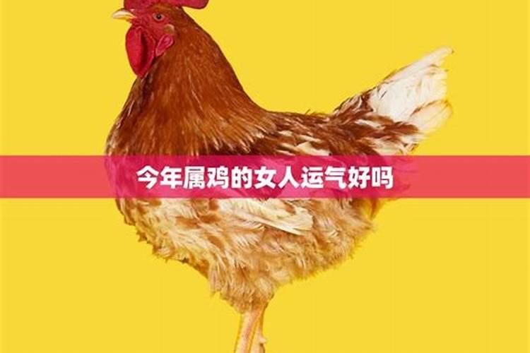 今年属鸡人的运气如何