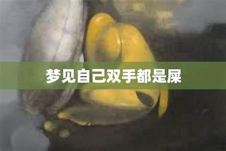 梦见两手屎是什么原因