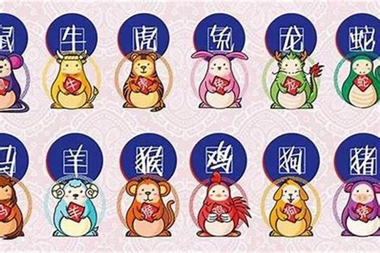 属龙今年运势2019年