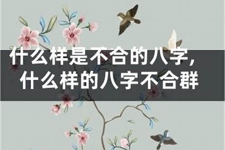 没有姻缘的人怎么办呢