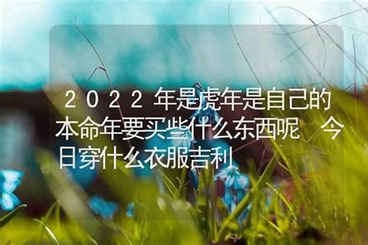 1980属猴人的2023年运势运程