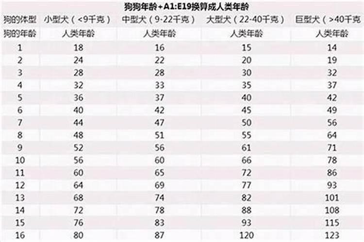 2018属狗的年龄表