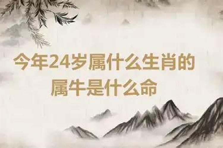 2021今年24岁属什么生肖