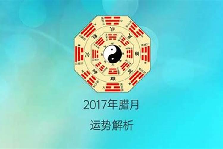 麦玲玲2021年各生肖桃花