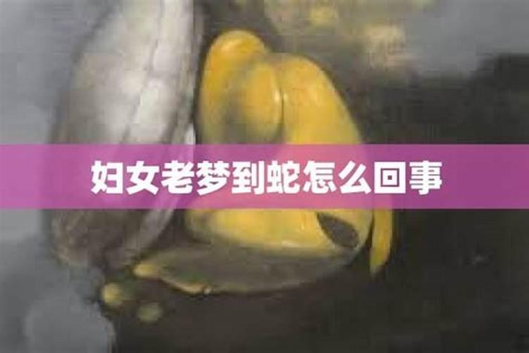 老公老是梦到蛇是胎梦吗