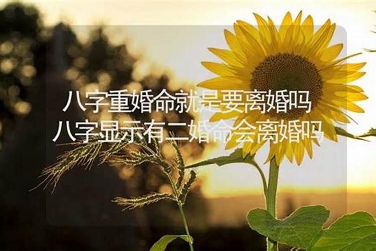 八字算命有桃花运会离婚吗？