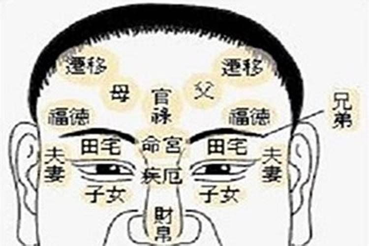 基本命盘和专业细盘