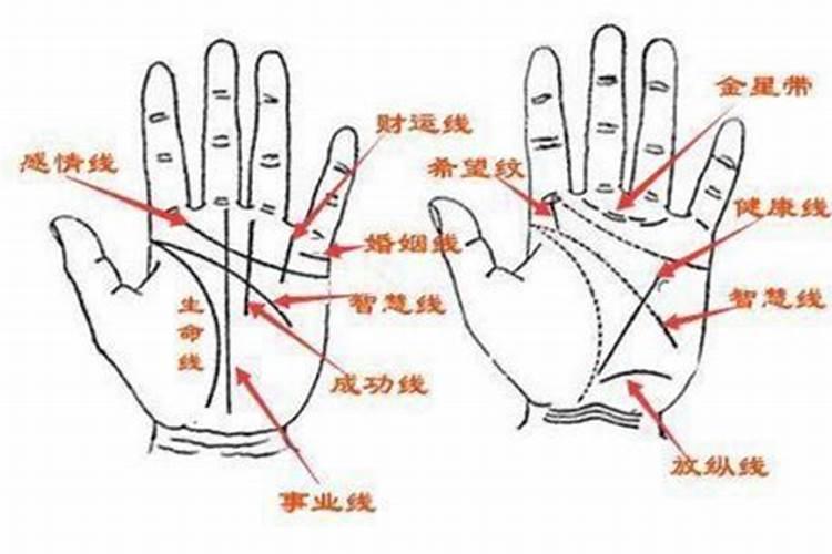 梦见马桶里血溢出来了