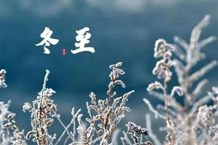 11月份属马