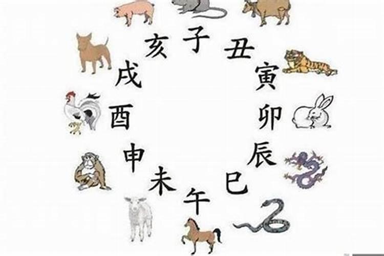 和猴相克的生肖