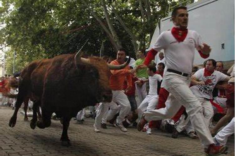 梦见穿红衣服被牛追赶攻击是什么预兆呢