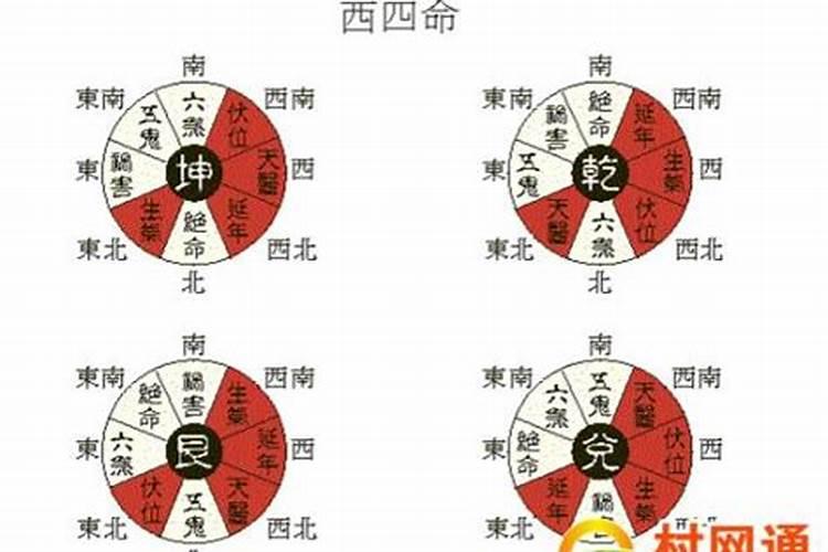 属兔87年6月的兔2023年运程