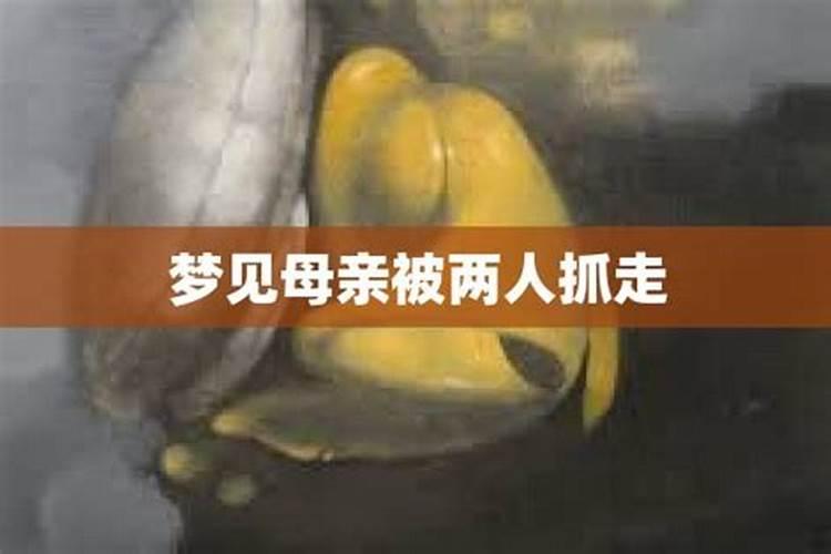 梦到老婆被人抓走了什么预兆