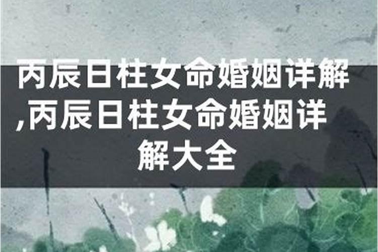 丁巳和丙辰日柱合不合