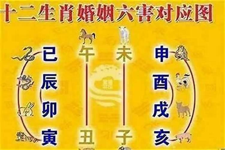 今年结婚忌啥属相