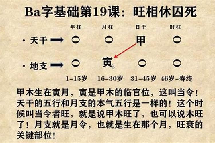 八字算命之八字基础