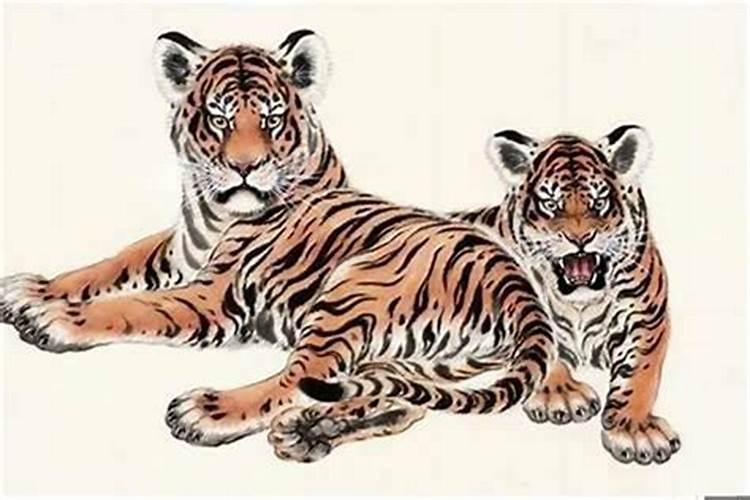 两个属虎的本命年结婚