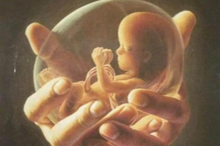 父母应该为堕胎的婴儿超度
