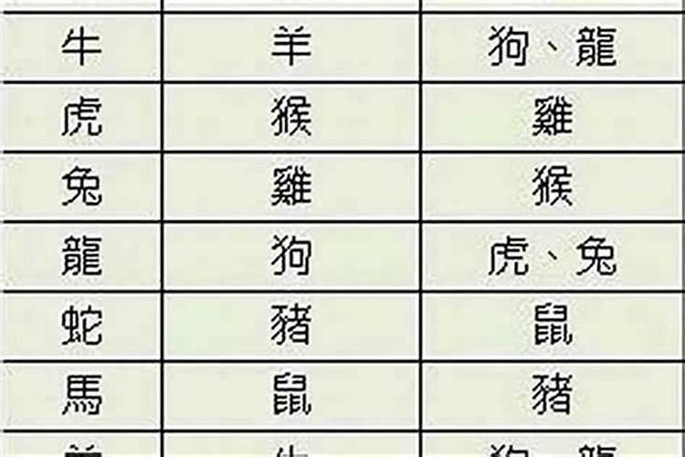 女属兔男属牛八字合吗