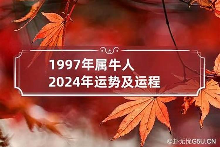 1997属牛的今年运势如何女