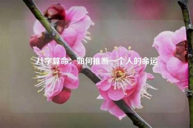 正月十五寓意着什么意思和象征