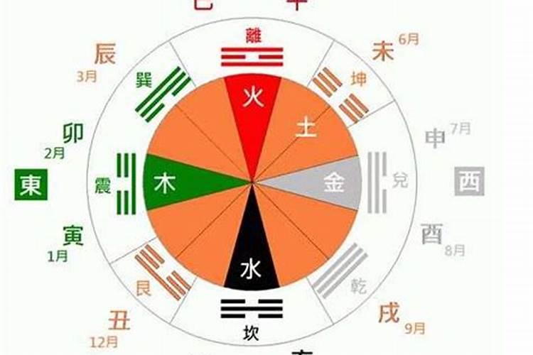 梦见鱼身上好多虫子在爬动